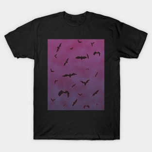 Bats in the Sky T-Shirt